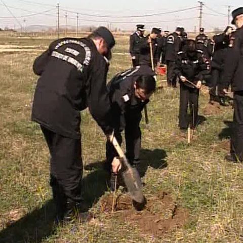 50 de profesori ai Şcolii de Pompieri au plantat vineri o mie de copaci 