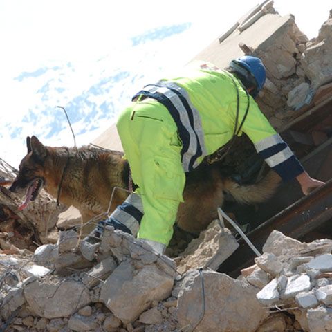 Circa 200 de replici s-au înregistrat după cutremurul din Italia