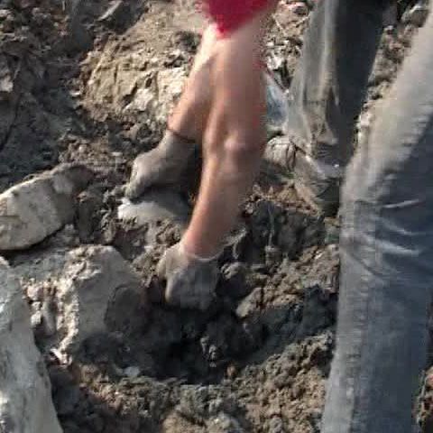Comori din aur şi argint, descoperite la curăţarea râului Bega din Timişoara