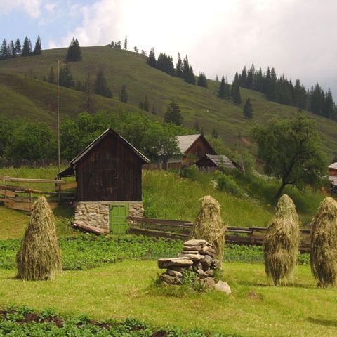 Unităţile de cazare etichetate ecologic ar putea beneficia de TVA de 9%