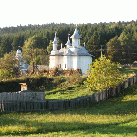 Acţiuni de ecologizare în patru localităţi din Gorj, în "Săptămâna Ecologică"