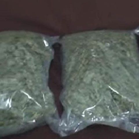 10 traficanţi de cannabis din Bucureşti au fost prinşi de poliţişti şi procurori