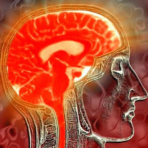 Evolved Machines accelerează cercetările în domeniul circuitelor neuronale artificiale
