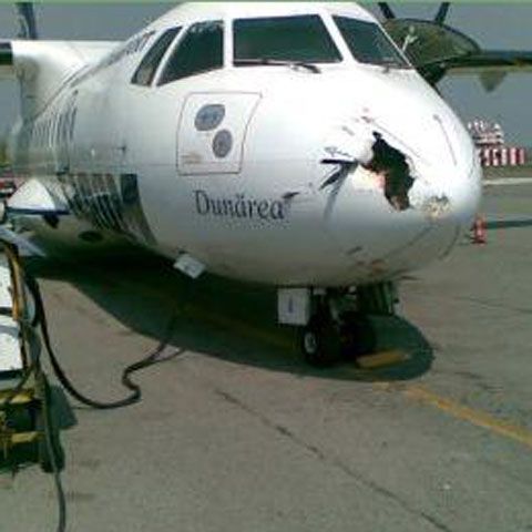 Avionul care transporta echipa Dinamo la Iaşi a fost la un pas de a se prăbuşi