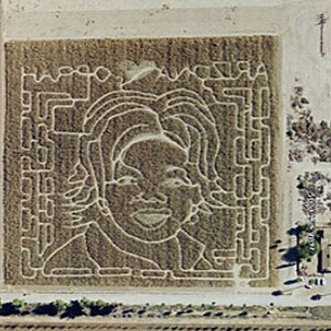 Top 10 descoperiri cu Google Earth - VEZI GALERIE FOTO