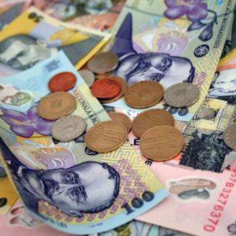 CNP: În 2009, creşterea economică va fi de 0,1% 