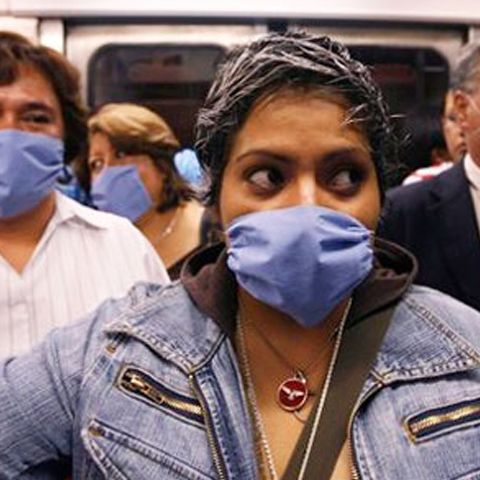 Gripa porcină s-a răspândit deja în 15 state americane 