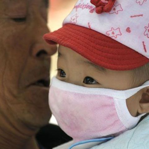 China şi Coreea de Sud confirmă primele cazuri de gripă porcină