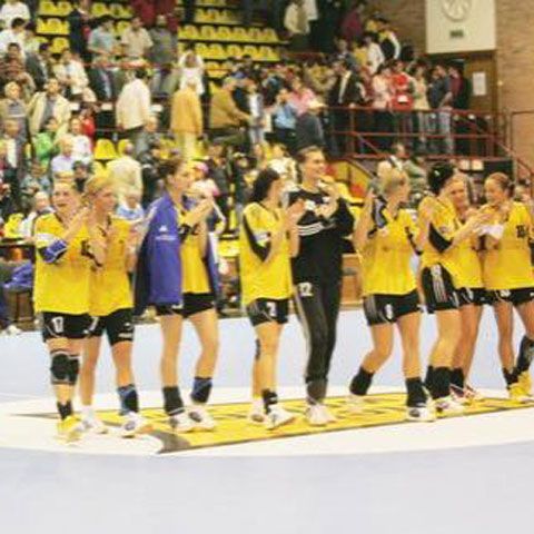 Handbal - Rezultatele etapei a 24-a a Ligii Naţionale feminine
