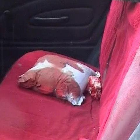 O fetiţă de 12 ani a fost ucisă de trupele NATO, în vestul Afganistanului 