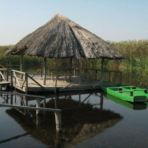 Turiştii din Parcul Natural Comana au aprins focul şi au lăsat deşeuri de 1 Mai, fără să fie amendaţi