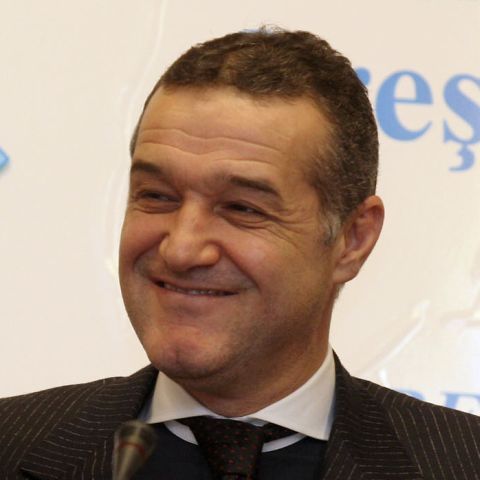 Cotidianul.ro: ANI reclamă un fals în declaraţii comis de Gigi Becali