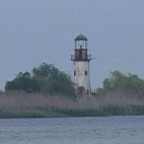 REALITATEA ALL-INCLUSIVE: Delta - exotică, sălbatică şi misterioasă
