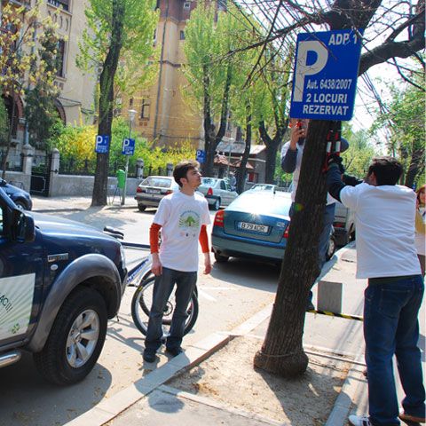 Voluntarii Agent Green au scos reclamele de pe copaci din sectorul 3 