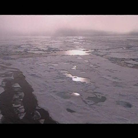 Specialiştii spun că peste o sută de ani Terra va fi de nerecunoscut 