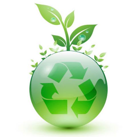 Reduce, refoloseşte şi reciclează: Regula de aur în protejarea mediului înconjurător