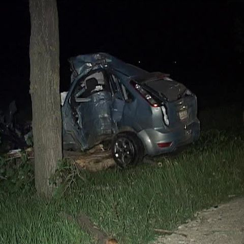 Un pilot militar a murit în judeţul Buzău după ce a intrat cu maşina într-un copac cu 210km/h