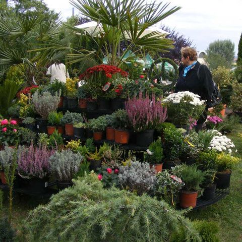 Traian Băsescu a oferit bomboane unor copii şi a primit flori de la expozanţii Expo Flora