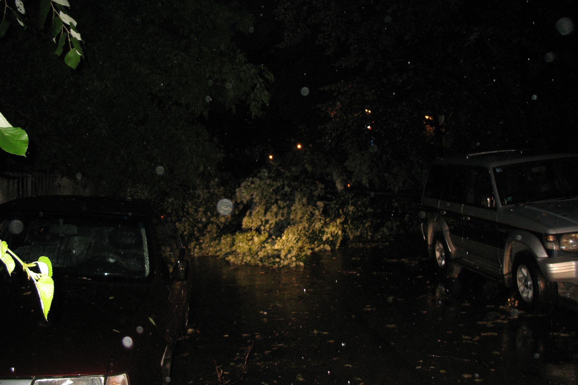 Efectele furtunii de marţi seară au fost fotografiate şi filmate de cititorii REALITATEA.NET - VEZI GALERIE FOTO