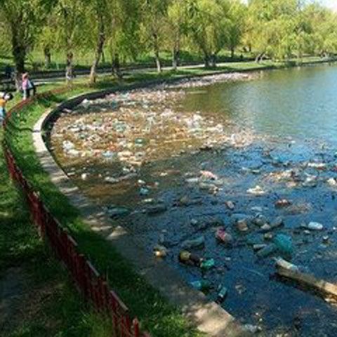Voluntarii care au ecologizat lacul Plumbuita au strâns aproape 5 tone de deşeuri menajere
