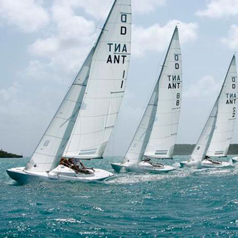 Regatta Mediului, o competiţie de veliere pentru protejarea biodiversităţii marine