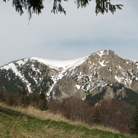 Patru turişti rătăciţi în Munţii Siriu au fost găsiţi la o stână părăsită