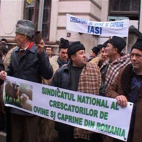Fermierii protestatari s-au îmbrâncit cu jandarmii după ce au forţat cordoanele de ordine 