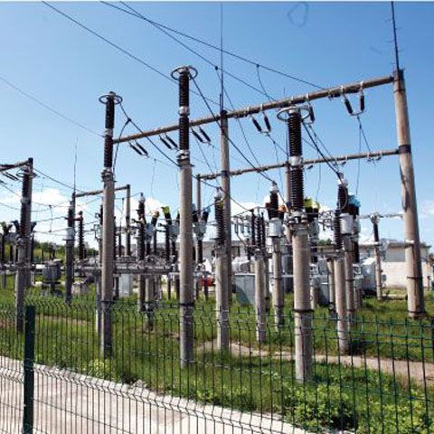 Ce va face Electrica cu profitul-record din 2008