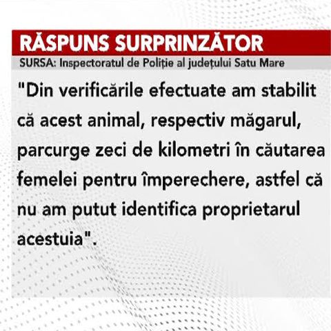 Poliţia română suprinde din nou