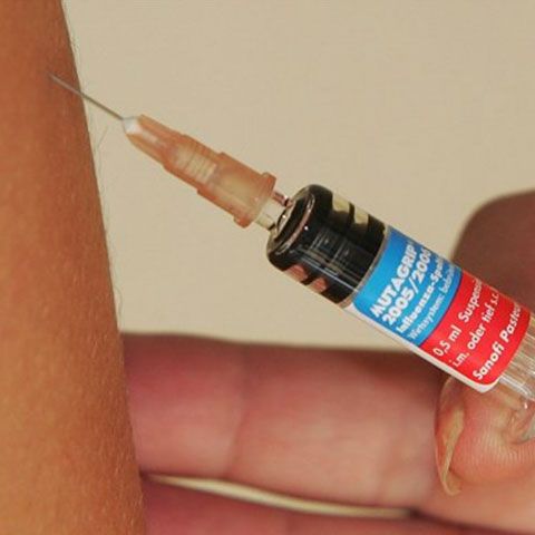 Novartis a produs primul lot de vaccin împotriva gripei porcine, speră să scoată produsul în toamnă