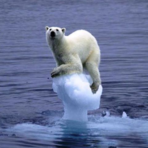 SUA: Efectele schimbărilor climatice se resimt acum!