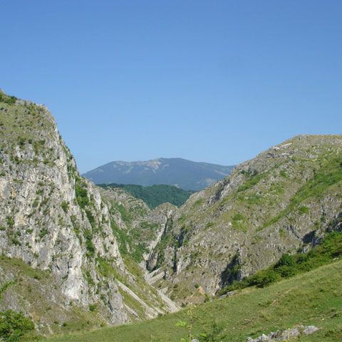 Proiect de peste 270.000 de euro pentru conservarea biodiversităţii din Cheile Sohodolului
