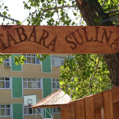 Peste 2.000 de tineri români de peste hotare vor veni în tabere organizate de MAE în România