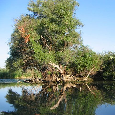 Rezervaţia Biosfera Delta Dunării a depus amendamente la ordinul privind taxa de acces în rezervaţie
