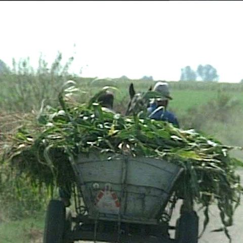 Comisia Europeană a penalizat România cu 13,9 milioane de euro