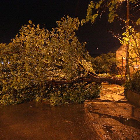 Capitala a fost lovită de furtună