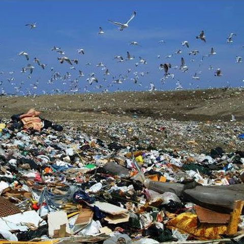 România trebuie să închidă 2.297 gropi de gunoi în 2 săptămâni ca să evite procedura de infringement