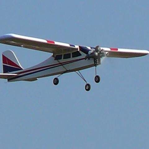 Tatăl pilotului decedat la Clinceni este principalul martor al accidentului aviatic