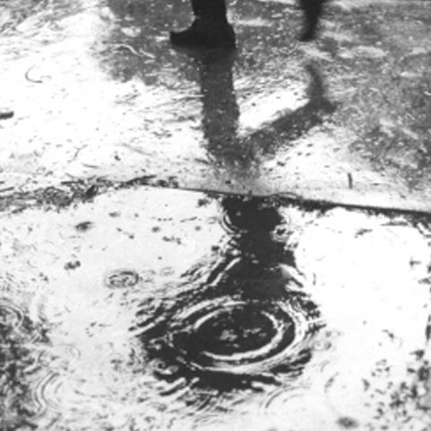 Meteorologii au anunţat o revenire a precipitaţiilor, de luni