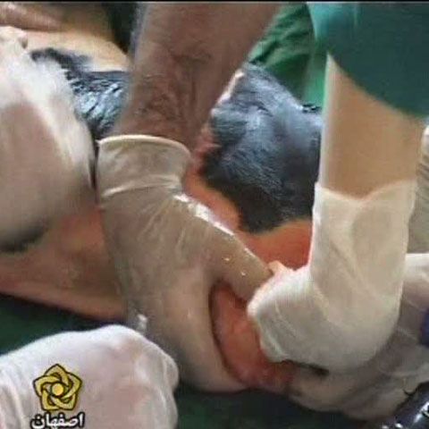 Oamenii de ştiinţă iranieni au anunţat clonarea unui viţel