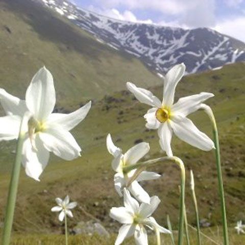 Natura 2000: Pajiştile din situl protejat Munţii Ţarcu sunt distruse de motociclete şi ATV-uri