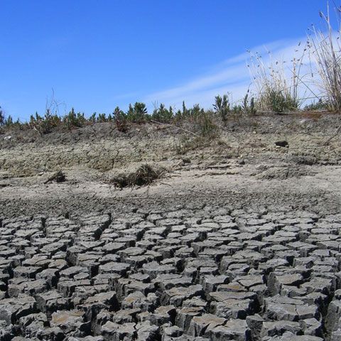 Suprafaţa afectată de secetă a crescut în ultima lună cu peste 10%, la 2.062.929 hectare