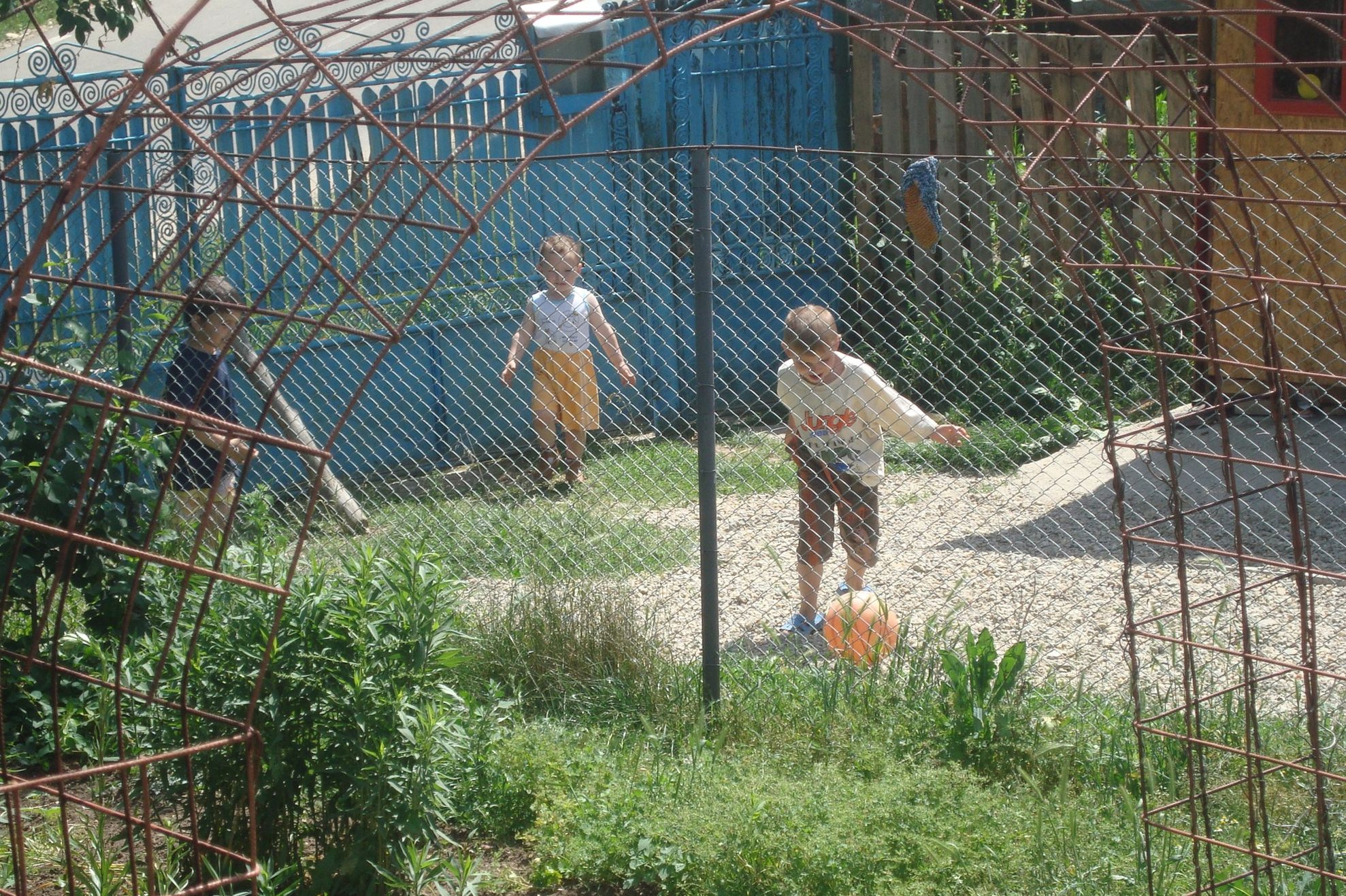 Vacanţa la ţară