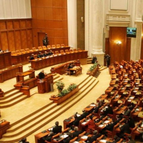 PNL consideră reducerea salariilor miniştrilor o măsură populistă