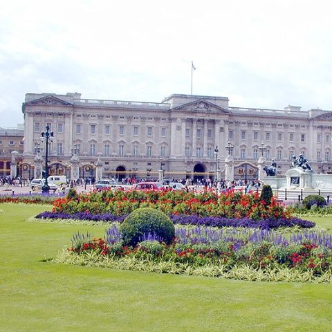 Două cazuri de gripă porcină la palatul Buckingham