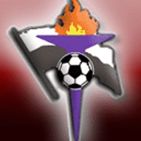 Gaz Metan a profitat de retrogradarea lui FC Argeş şi a rămas în Liga I