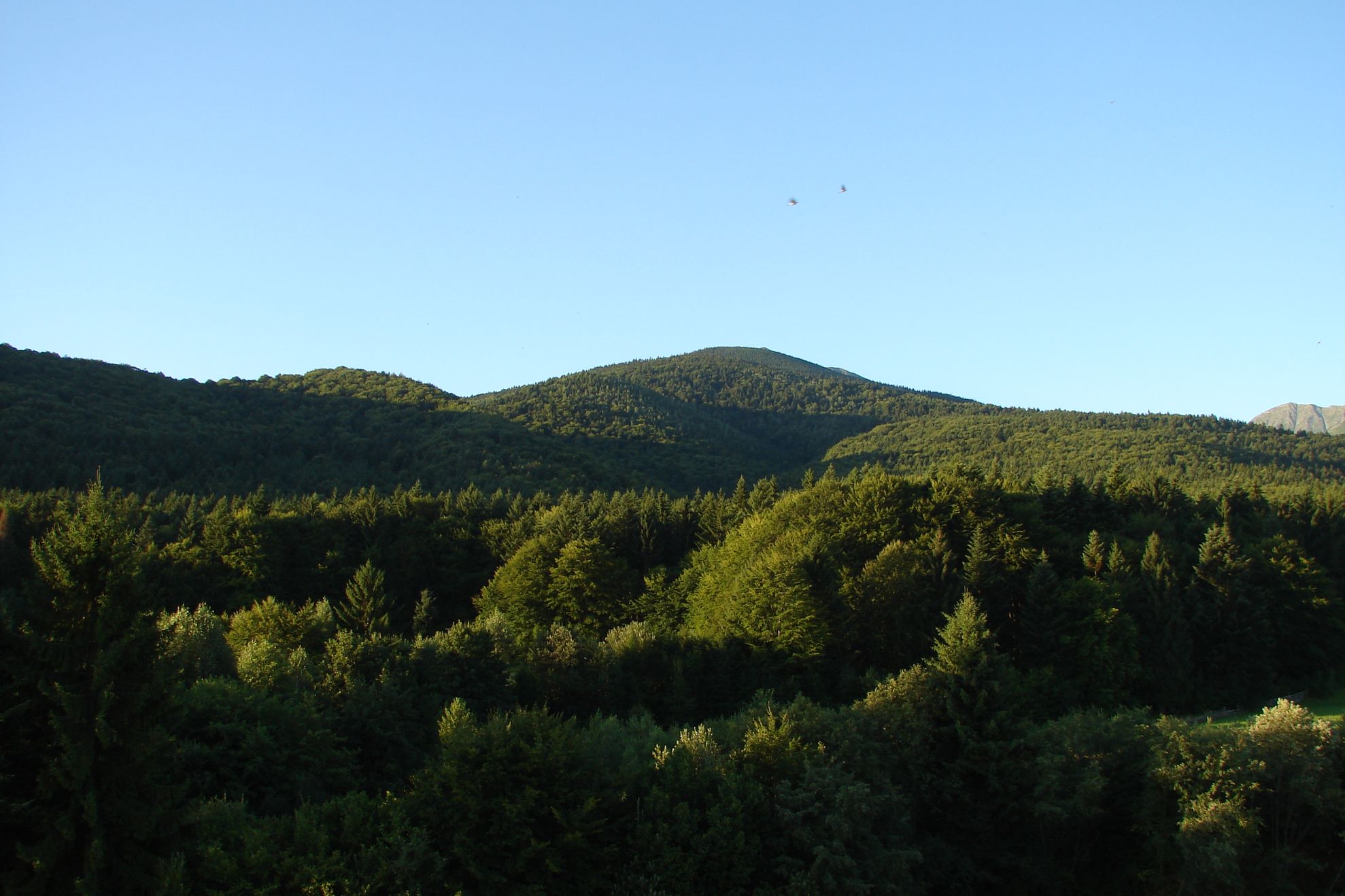 Muntii Apuseni