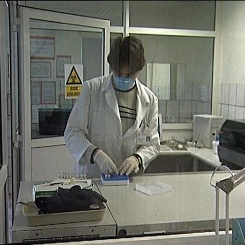 Republica Moldova are un al doilea caz de gripă porcină, la o fetiţă de un an şi jumătate