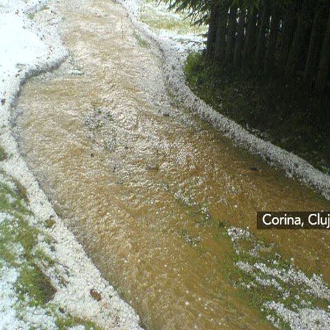 Ploaia şi grindina au făcut ravagii în judeţul Cluj