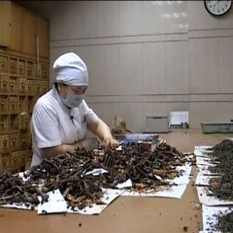 Plantele medicinale chinezeşti sunt eficiente împotriva virusului AH1N1 
